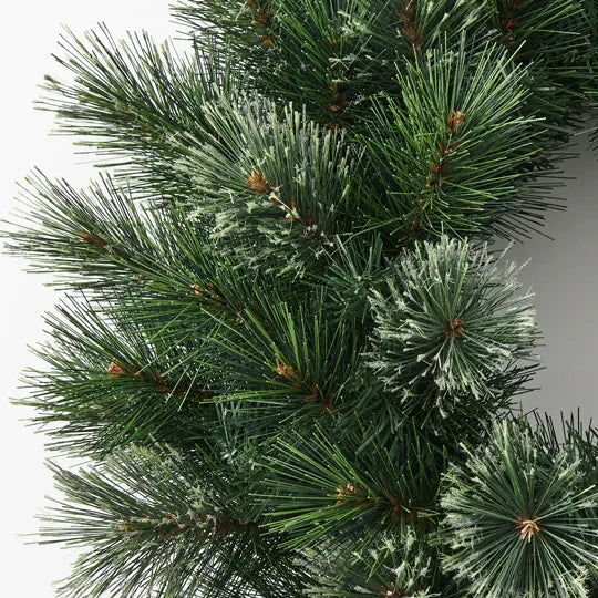 Wreath Pine Alaskan